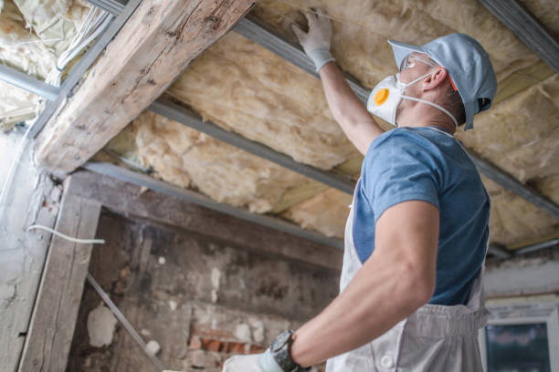Best Insulation Maintenance and Repair in Greenwood, MO