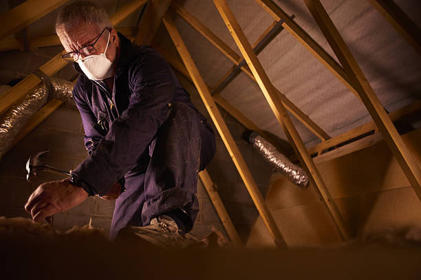 Best Commercial Insulation in Greenwood, MO